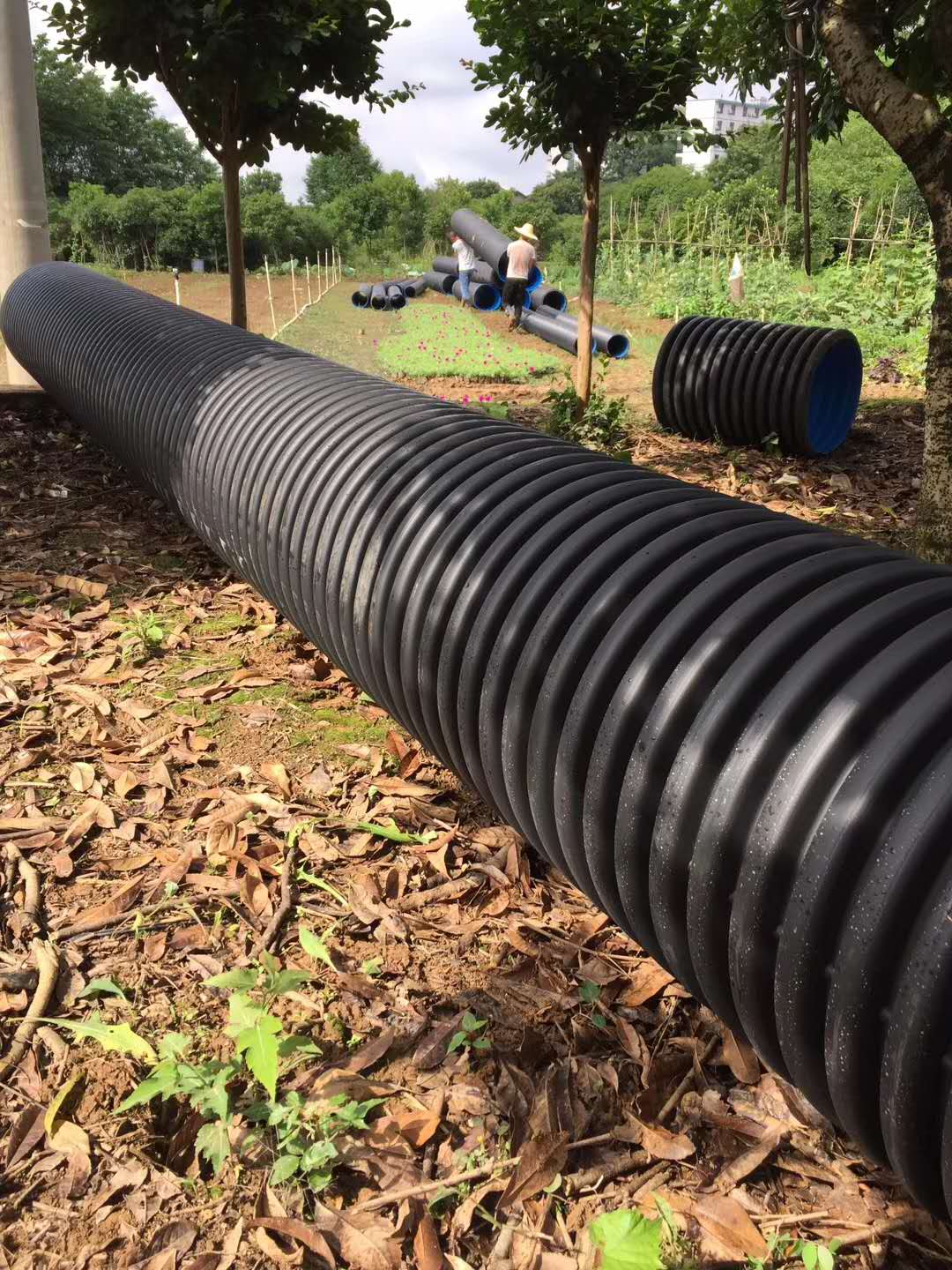 長(zhǎng)沙91大香蕉管業有限公司,長沙(shā)排汙排水管道,塑料管材生產,雙壁波紋管銷售 長沙91大香蕉管業有限公(gōng)司,長(zhǎng)沙排汙排水管道,塑料管材生產,雙壁波紋管銷售