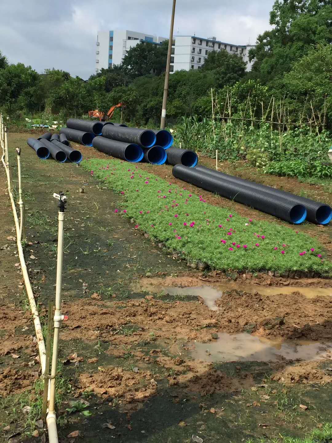 長沙91大香蕉管業有限公司,長沙排汙排水管道(dào),塑(sù)料管材生產,雙壁波紋管銷(xiāo)售 長(zhǎng)沙91大香蕉管業有限公司,長沙排汙(wū)排水管道,塑(sù)料管材生產,雙壁波紋管銷(xiāo)售